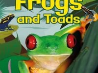 Dk Super Readers Level 1 Frogs And Toads