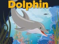 Dk Super Readers Level 1 Diving Dolphin