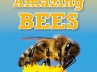 Dk Super Readers Level 2 Amazing Bees