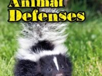 Dk Super Readers Level 3 Animal Defenses