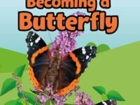 Dk Super Readers Level 1 Becoming A Butterfly