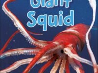 Dk Super Readers Level 3 Giant Squid