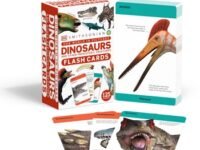 Our World In Pictures Dinosaurs And Other Prehistoric Creatures Flash Cards