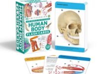 Our World In Pictures Human Body Flash Cards