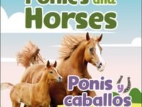 Ponis Y Caballos