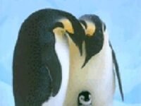 Antarctica: Usborne Beginners