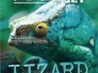 The Pet To Get: Lizard