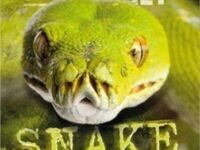 The Pet To Get: Snake