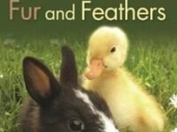 Fur And Feathers: Kingfisher Readers (Level 2)