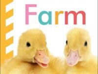 Baby Touch And Feel: Farm