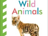 Baby Touch And Feel: Wild Animals