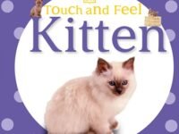 Touch And Feel: Kitten