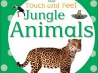 Touch And Feel: Jungle Animals