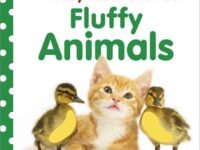 Baby Touch And Feel: Fluffy Animals