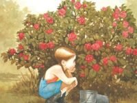 Aunt Mary's Rose