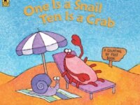 One Is A Snail, Ten Is A Crab Big Book:a Counting By Feet Book