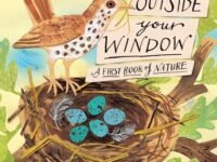 Outside Your Window:a First Book Of Nature