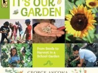 It's Our Garden:From Seeds To Harvest In A School Garden