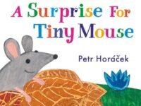 A Surprise For Tiny Mouse