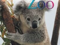 A Trip To The Zoo (Beginning To Read: Level 1)