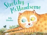 Stretchy Mchandsome