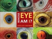 Whose Eye Am I?