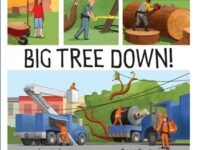 Big Tree Down!