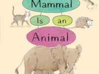 A Mammal Is An Animal