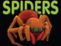 Up Close With Spiders