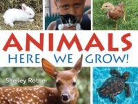 Animals!:Here We Grow