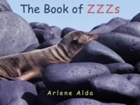 The Book Of Zzzs