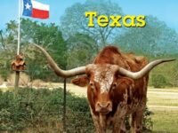 Texas:a Nonfiction Companion To Magic Tree House #30: Hurricane Heroes In Texas