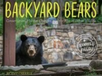 Backyard Bears:Conservation, Habitat Changes, And The Rise Of Urban Wildlife