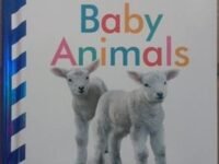 Baby Touch And Feel Baby Animals