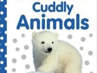Baby Touch And Feel Cuddly Animals