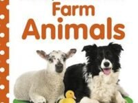 Baby Touch And Feel Farm Animals