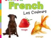 Colours In French: Les Couleurs