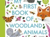 Y First Book Of Woodland Animals