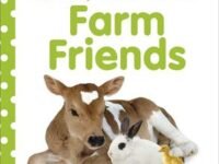 Baby Touch And Feel Farm Friends