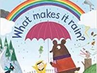 What Makes It Rain? Lift-the-Flap First Questions And Answers