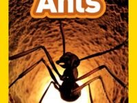 Ants: National Geographic Kids Readers (Level 1)