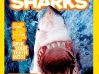 National Geographic Kids Everything Sharks:all The Shark Facts, Photos, And Fun That You Can Sink Your Teeth Into
