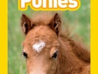 Ponies (National Geographic Kids Readers, Level 1)