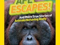 National Geographic Kids Chapters: Ape Escapes!:and More True Stories Of Animals Behaving Badly