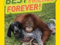 National Geographic Kids Chapters: Best Friends Forever:and More True Stories Of Animal Friendships