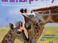 National Geographic Book Of Animal Poetry:200 Poems With Photographs That Squeak, Soar, And Roar!