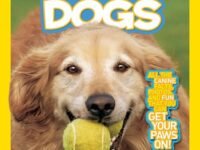 National Geographic Kids Everything Dogs:all The Canine Facts, Photos, And Fun You Can Get Your Paws On!