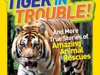 National Geographic Kids Chapters: Tiger In Trouble!:and More True Stories Of Amazing Animal Rescues
