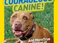 Courageous Canine And More True Stories Of Amazing Animal Heroes: National Geographic Kids Chapters