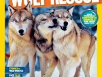 National Geographic Kids Mission: Wolf Rescue:all About Wolves And How To Save Them
